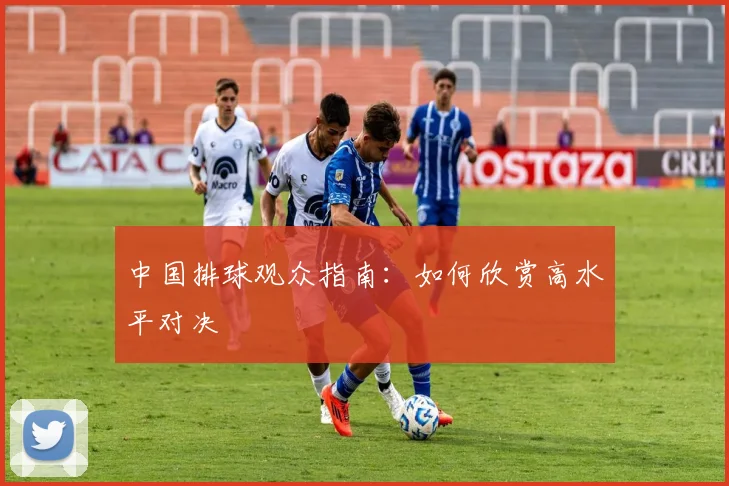 中国排球观众指南:如何欣赏高水平对决