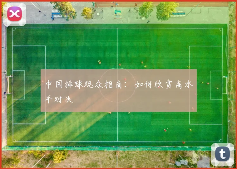 中国排球观众指南：如何欣赏高水平对决